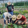 Journée Entomologie au Champ des Hérissons avec CLIMATVEG